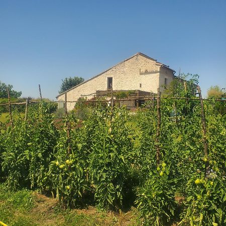 Hotel Au Mas De Janita Cahuzac-sur-Vère Esterno foto
